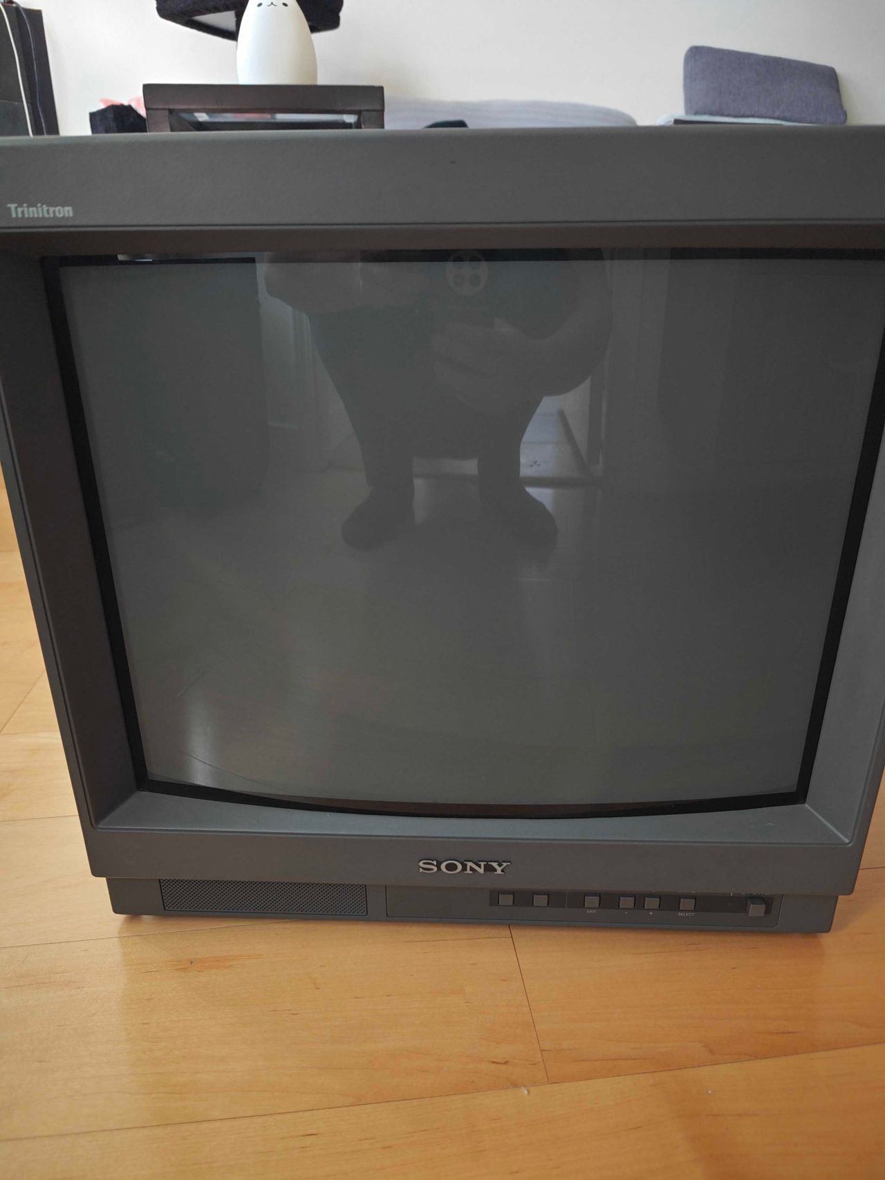 PVM-20L1