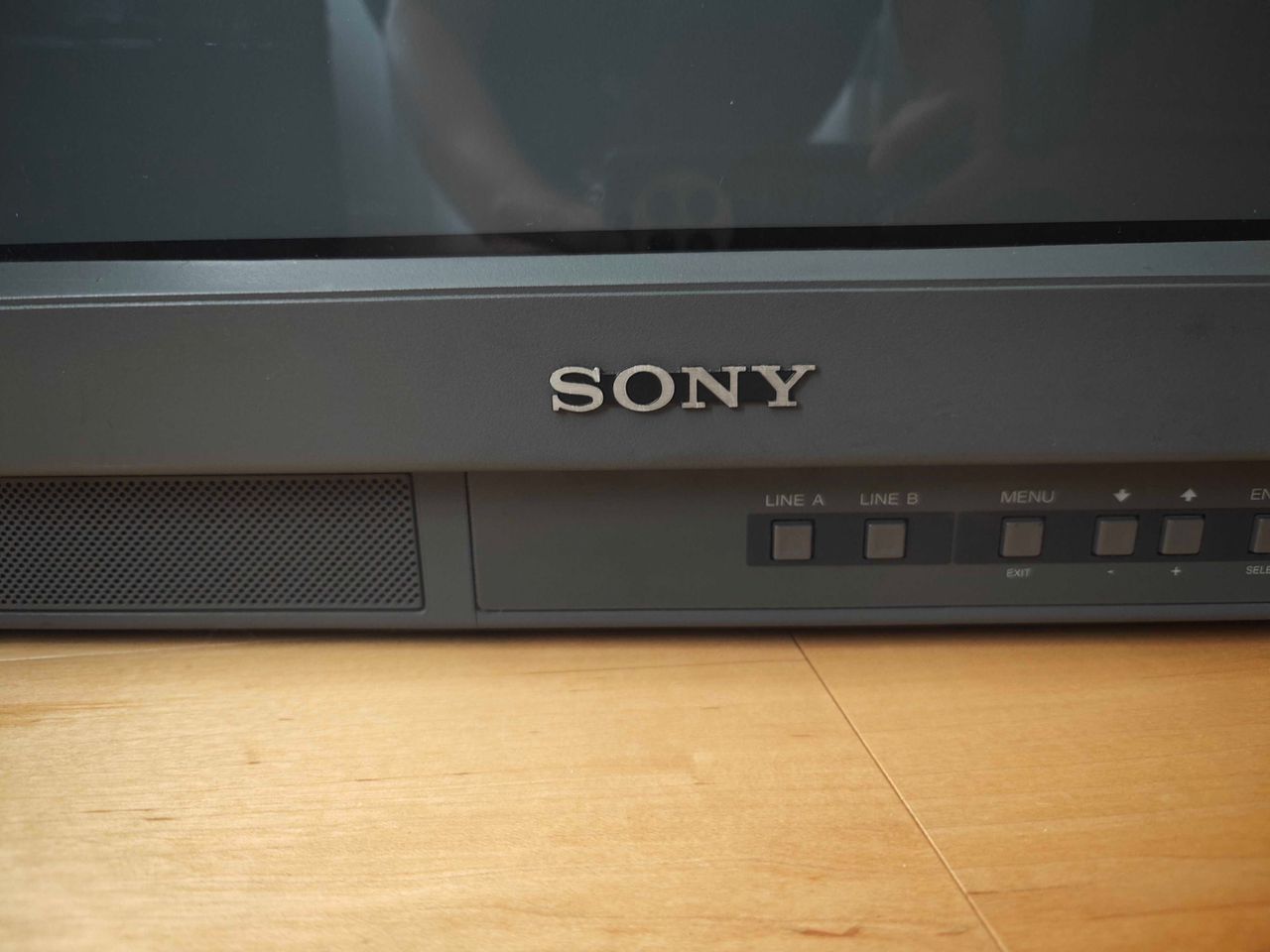 PVM-20L1