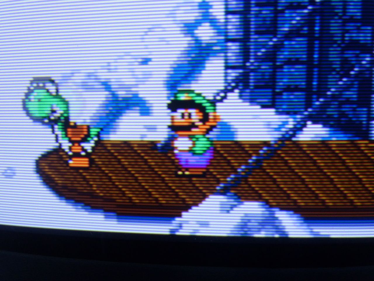 PVM-14L1
