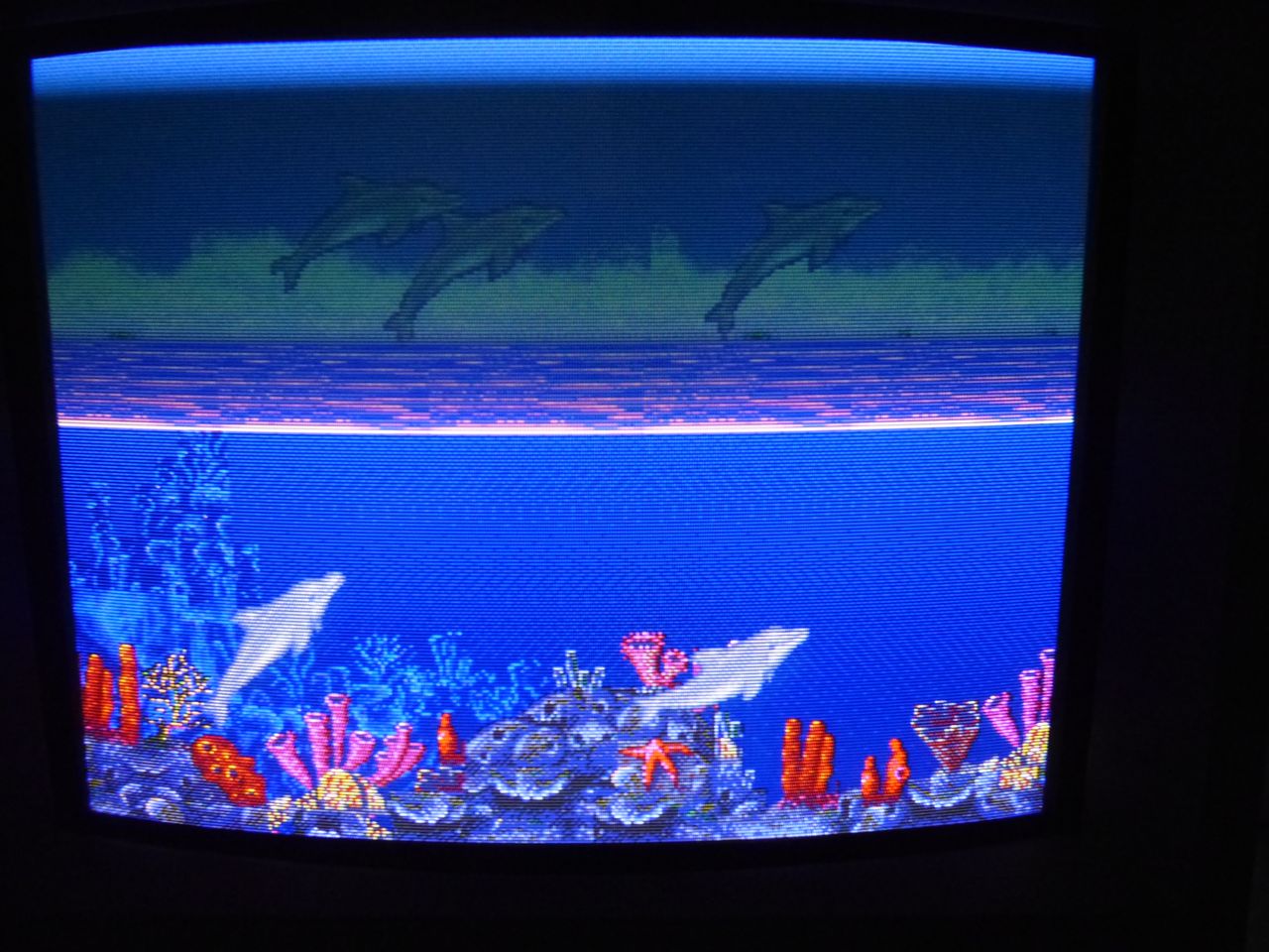 PVM-14L1