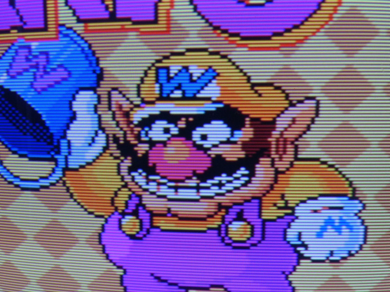 PVM-14L1