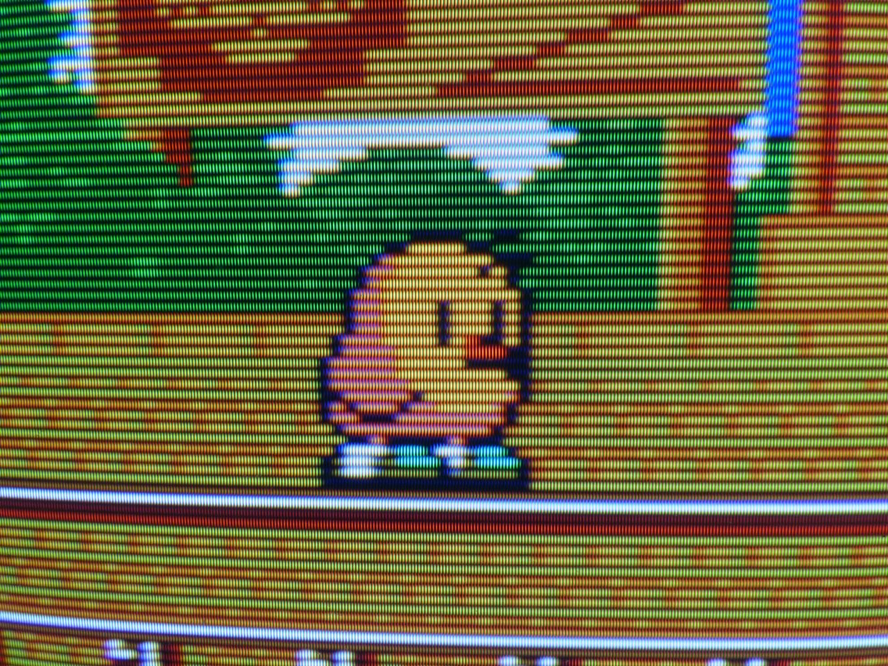PVM-14L1