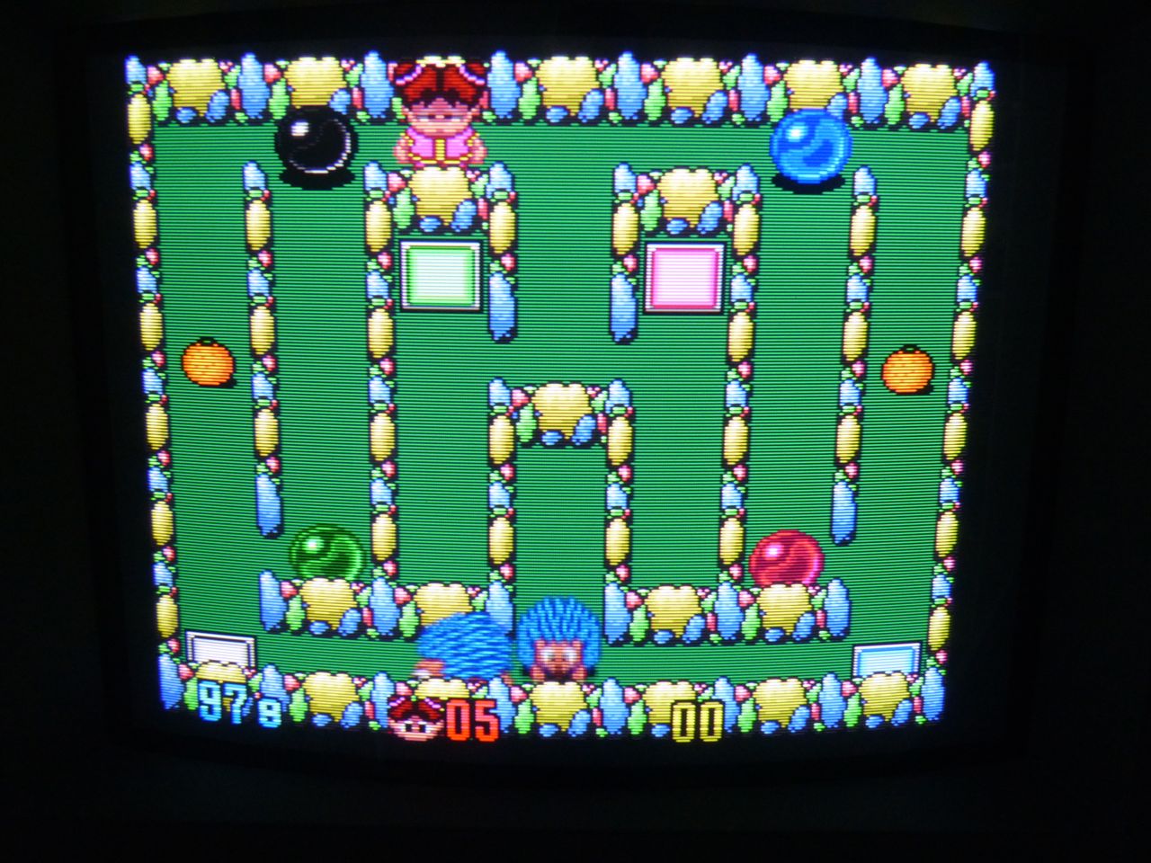PVM-14L1